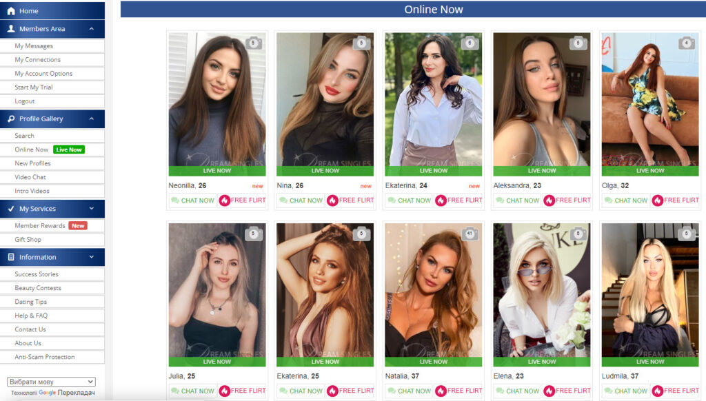 DreamMarriage website